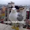 Posprzątaj w pokoju